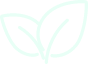 Icon Vegan Friendly